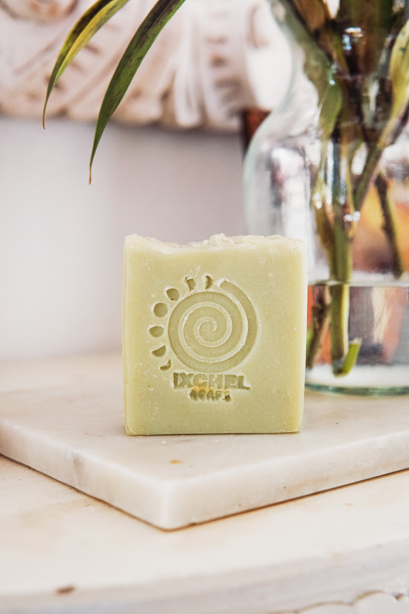 Aloe Vera Organic Bar Soap